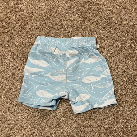 Baby Gap Shorts - Picture 3 of 4